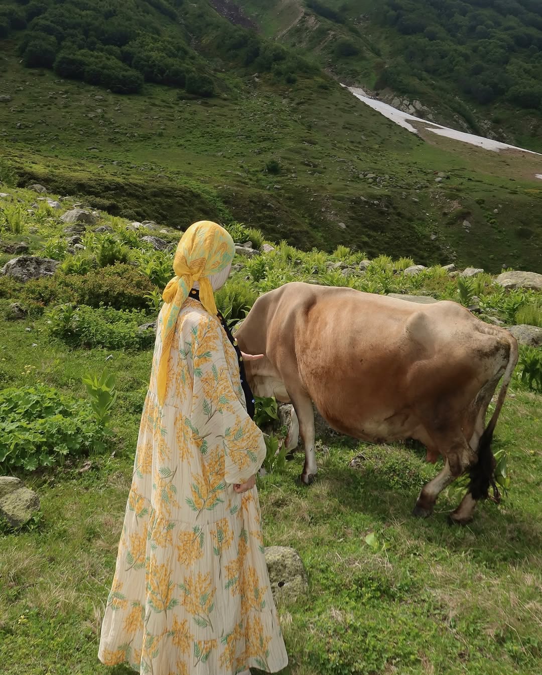 Farm Dress